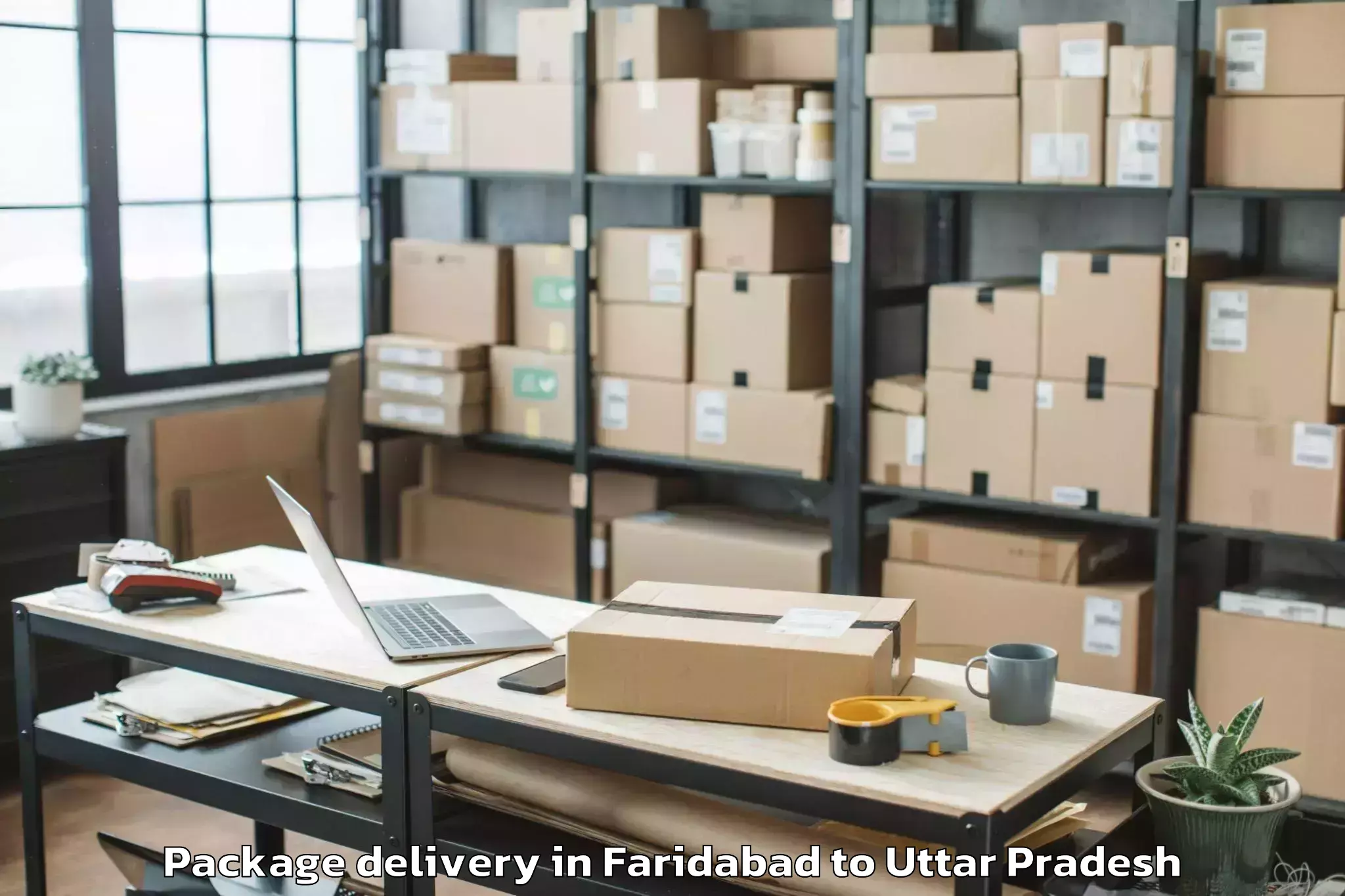 Leading Faridabad to Belthara Road Package Delivery Provider